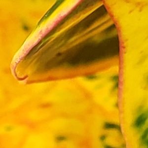 Meet your Posher, Kara